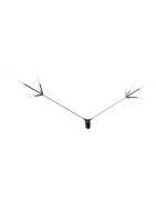 Dipole HF
